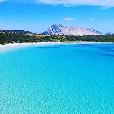 Sardinian