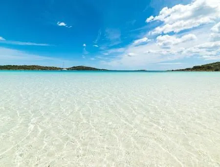 Sardinian *